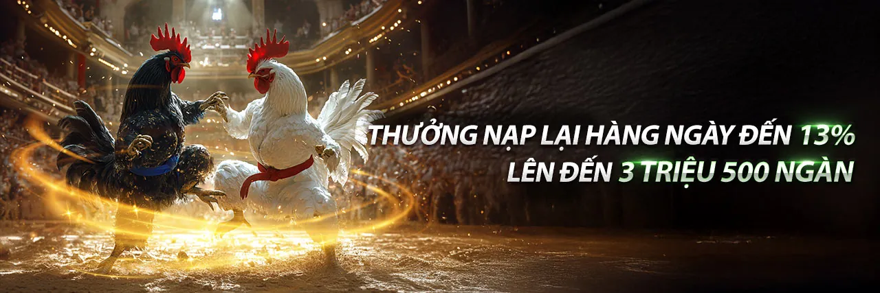 Đá gà trực tuyến kịch tính trên KK55 APP