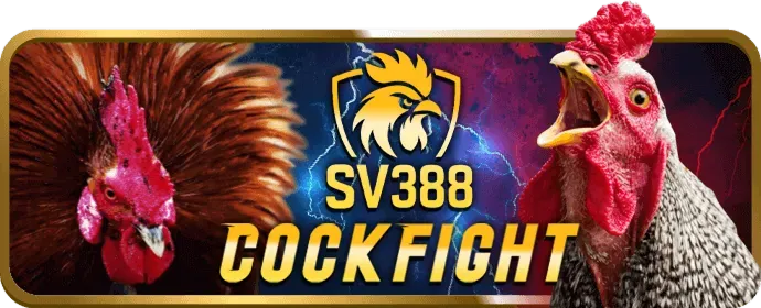 Hỗ trợ khách hàng chuyên nghiệp KK55 App